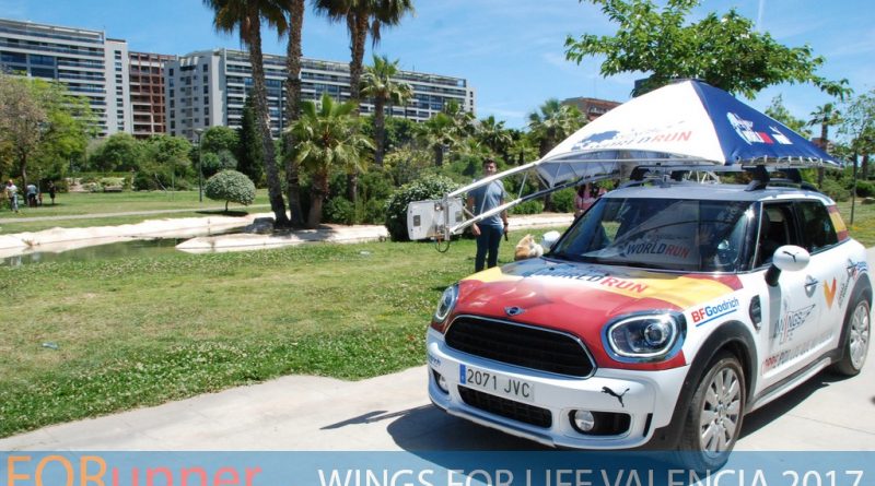 Wings For Life 2017 Valencia