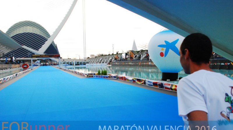 Alfombra azul en el Maratón de Valencia